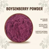 Bubuk Bosen Berry Rasa Raspberry Hitam/Ekstrak Bosen Berry/Bubuk Jus Bosen Berry Pekat/Bubuk Minuman Padat