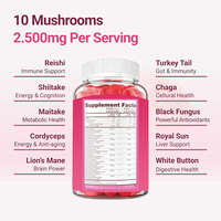 Suplemento de Gomitas con Complejo de Hongos Veganos 10 en 1, 2500mg, Marca Privada OEM, con Melena de León, Reishi y Cordyceps, para un Estado de Ánimo Tranquilo y Relajación
