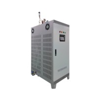 Générateur de vapeur électromagnétique à moteur en acier inoxydable, sortie horizontale automatique à onduleur 60 kW, à économie d'énergie et facile à utiliser