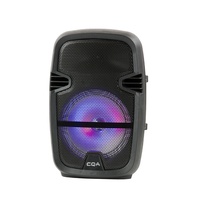 Altavoz Portátil para Fiestas CQA 2019, Económico, de 8 Pulgadas, con Dos Bocinas, para Promoción Navideña