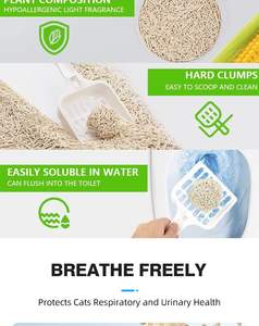 Hete Aanbieding Katten Bentonite Klei Maleisië Private Label Huisdier Reiniging Kattenbakvulling - Product Image 5