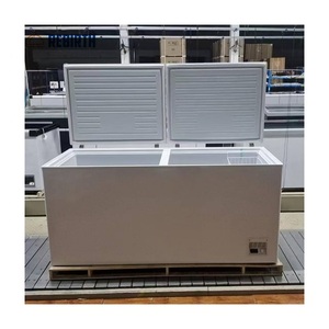 <span class=keywords><strong>Congélateur</strong></span> Commercial Grande Capacité à Ouverture par le Haut, <span class=keywords><strong>Congélateur</strong></span> <span class=keywords><strong>Horizontal</strong></span> Profond à Porte Supérieure, Congélateurs Coffres à Ouverture par le Haut - Product Image 1