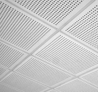 DEGOTONE Plaque de plâtre perforée carrée 600*600mm (60x60) pour faux-plafond, ignifuge, résistante à l'humidité, idéale pour hôtels modernes, gymnases et hôpitaux