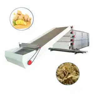 Automatic Continuous Conveyor Multi layer mesh belt ginger Dryer Onion Garlic Ginger Spice Dryer Machine Turmeric Dryer