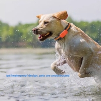 Collier GPS universel 4G pour animaux de compagnie, étanche IP67, localisateur en temps réel Beidou, dispositif anti-perte avec géolocalisation pour chiens et chats