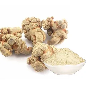 80% Notoginsenosides Panax Notoginseng 뿌리 추출물 SanQi 추출물 분말