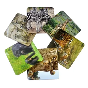 Porta-copos de madeira ecológico OEM para chá com animais do zoológico Tapete redondo para bebidas e cerveja com estampa de fotos para uso doméstico e cozinha