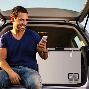 Zone de porte unique grand 60L 115L voiture réfrigérateur congélateur coffre congélateur intérieur LED lumière camion <span class=keywords><strong>RV</strong></span> réfrigérateur 12V 24V - Product Image 6