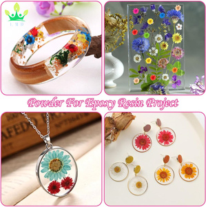 Piccoli fiori secchi per l'artigianato Mini <span class=keywords><strong>margherita</strong></span> naturale fiori veri alla rinfusa per gioielli fai da te <span class=keywords><strong>orecchini</strong></span> epossidici stampi candele sapone fare - Product Image 6