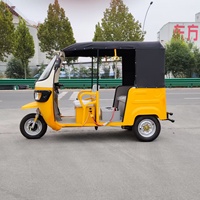 DUDU Tricycle électrique à carrosserie ouverte, bus touristique, voiture à 3 roues, vente à chaud