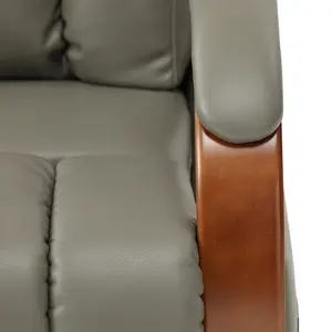 싱글 모터 의자 기대기 등받이가있는 CJSmart 홈 파워 안락 의자