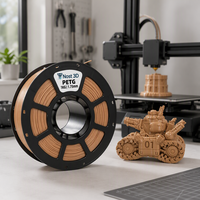 Filament d'imprimante 3D NOST PETG couleur café clair