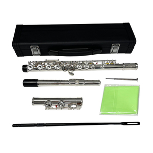 <span class=keywords><strong>Flauta</strong></span> Dulce Plateada de 16 Orificios de la Marca Aiersi, Instrumento Musical de Viento de Latón con Estuche, Logotipo Personalizado, Hecho en China - Product Image 5