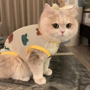 <b>Cute</b> Animal Pattern Pet Cat Vest Breathable Polyester Summer Clothes For British Shorthair Ragdoll Cats - Product Image 3