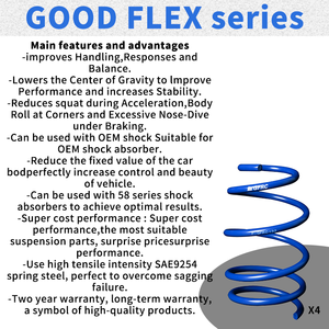 Gfrc hạ xuống Suối Nước cho 1997-2003 Volkswagen Golf MK4 thấp xuống trọng lực sốc hấp thụ lò xo treo thể thao Suối Nước - Product Image 5