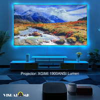 Écran de projection ALR CLR Black Diamond 2026 à cadre de 1 cm, 60-250 pouces, 4K 8K, anti-lumière ambiante pour projecteurs standards
