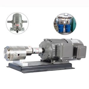Pompe doseuse industrielle en acier inoxydable pour le transfert de résine, adhésif et huile – Pompe doseuse à engrenages haute performance - Product Image 1