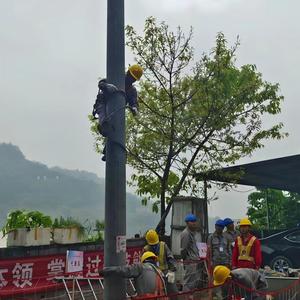 Poste de transformation monophasé/triphasé 110 kV pour l'alimentation électrique des centres de données en milieu domestique - Product Image 3