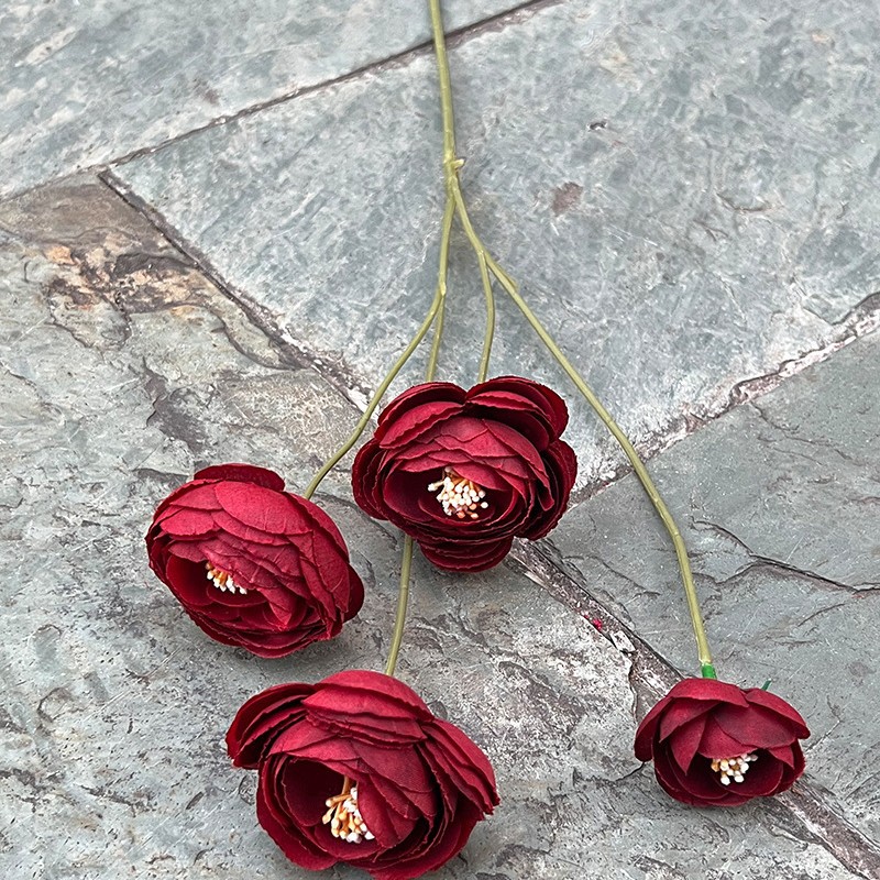 Rouge, 2 à 4 petites ruliennes rouges