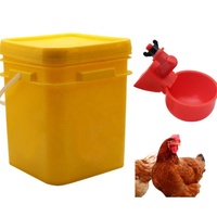 Système d'abreuvement automatique pour poulets, abreuvoir à gravité avec 4 gobelets