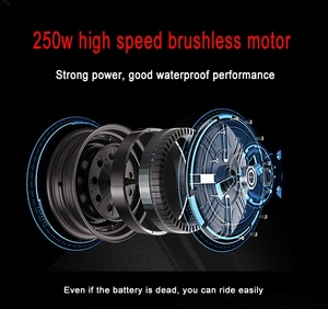 Vélo électrique <span class=keywords><strong>EVIC</strong></span> FRIKE puissant avec moteur de moyeu arrière 250W, frein à disque, batterie lithium amovible 8A 36V - Product Image 6