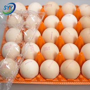 Bandeja <span class=keywords><strong>para</strong></span> Huevos de PET de Colores al por Mayor, Tipo Concha, con Tapa Desmontable, Grado Alimenticio, Antivaho, Antiestática, Apilable, RPET, OEM, Personalizada - Product Image 5