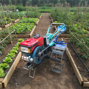 Tractor a Pie Diésel de 12HP 15HP 18HP, Mini Tractor Rotatorio para Jardín y Granja, AGCO <span class=keywords><strong>ANZA</strong></span>, Larga Vida Útil, Tracción en Dos Ruedas (2WD) - Product Image 3