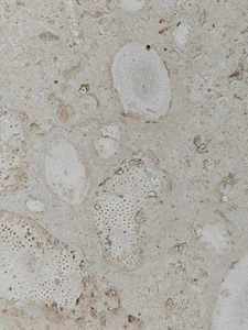 Piedra <span class=keywords><strong>de</strong></span> Coral Natural Blanca Beige, Agujeros Sin Rellenar, Color Crema Beige, Travertino, <span class=keywords><strong>Coralina</strong></span>, Losa, Azulejo, Panel <span class=keywords><strong>de</strong></span> Pared, Ladrillo - Product Image 2