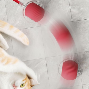 Fabrika akıllı Pet oyuncak 360 ° akıllı otomatik interaktif köpek akıllı top oyuncak interaktif kedi oyuncaklar haddeleme topu USB şarjlı - Product Image 4