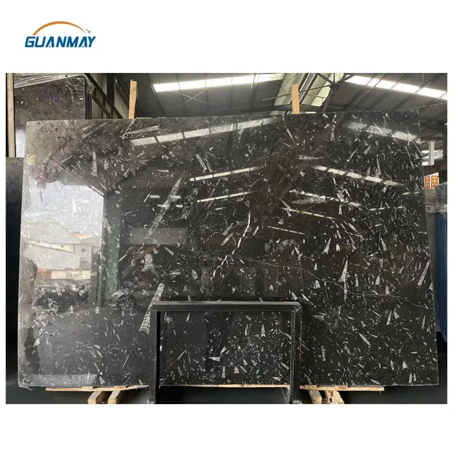 Laje De Mármore Fóssil Mármore preto natural com fóssil branco para mesa bancada da parede do fundo da telha