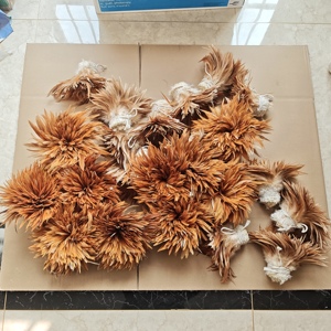 Plumes de coq teintes de 4-6-8 pouces, plumes de poulet enfilées, plumes de selle, plumes de <span class=keywords><strong>cou</strong></span>, matériaux pour la pêche à la mouche, la fabrication de mouches - Product Image 5