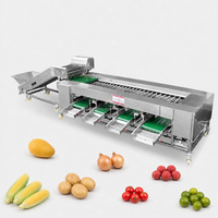 RVS fruit- en groentesorteermachine, multifunctionele sorteer- en verdeelmachine voor knoflook, aardappel, tomaat, mango
