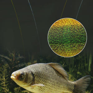 Vendita all'ingrosso calda 100% Fluorocarbon rivestimento linea di pesca 0.14mm-0.5mm superficie di carbonio Nylon per il fiume e il lago di pesca <span class=keywords><strong>Leader</strong></span> - Product Image 3