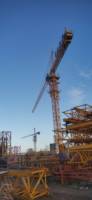 Mini-grue à tour haute performance HAISHAN 4T QTZ40-HS4209 avec moteur/boîte de vitesses/roulement, force de levage de 315 kN.m