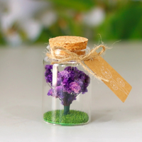 Bunga Gypsophila Alami Awet dalam Botol Kaca Mini, Pohon Baby's Breath Abadi untuk Souvenir Pernikahan, Dekorasi Rumah