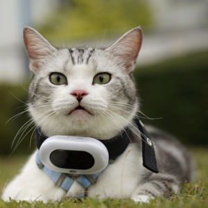Dispositivo de seguimiento <span class=keywords><strong>GPS</strong></span> inteligente para mascotas, <span class=keywords><strong>Collar</strong></span> para perros y gatos, resistente al agua, IP67, con luz LED, bloqueo antimanipulación, valla WIFI y batería de larga duración - Product Image 1