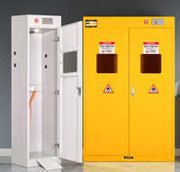 Armoire de stockage de bouteilles de gaz en acier inoxydable avec fonctions d'alarme anti-incendie pour hôpital, laboratoire, école, surface époxy