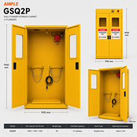Armoire de stockage pour 2 bouteilles de gaz en acier avec rampe de chargement, fournisseur OEM ODM personnalisé pour laboratoire, usine, entrepôt B2B