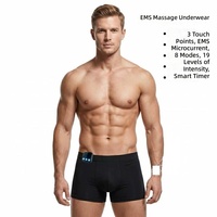 Sous-vêtements de massage EMS portables pour hommes, appareil de soin de la prostate portable et télécommande sans fil pour la circulation et le soulagement