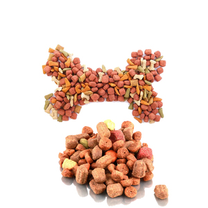 Machine à fabriquer des croquettes pour chiens avec moteur et pompe pour usage agricole à petite échelle - Product Image 6