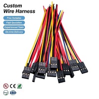Câble de raccordement personnalisé avec connecteur Dupont 2-12 broches vers fil dénudé étamé de 100 mm de longueur