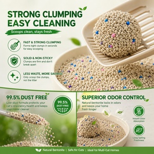Litière pour <span class=keywords><strong>chat</strong></span> 99% sans poussière, 20 kg, Bentonite Naturelle, Fournisseur d'Or, Sable pour <span class=keywords><strong>chat</strong></span> - Product Image 2