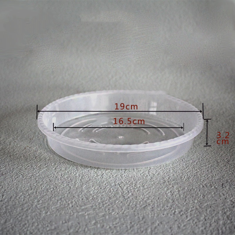 Diameter: 19cm