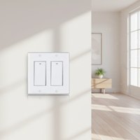 Tuya Smart Zigbee sans fil US EU UK AU Wifi Bouton Homekit Switch 2 Gang Smart Switch