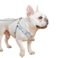 Harnais de poitrine exclusif à motif à carreaux et dessin animé sur le thème des chats, design en forme de H, ajustement réglable, pour Bichon Frisé et autres petits chiens