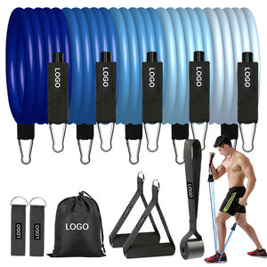 <span class=keywords><strong>Kit</strong></span> <span class=keywords><strong>de</strong></span> bande <span class=keywords><strong>de</strong></span> résistance à l'étirement professionnel avec barre pour le développement musculaire <span class=keywords><strong>de</strong></span> <span class=keywords><strong>musculation</strong></span> - Product Image 2