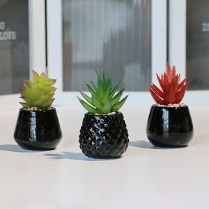 Bonsái de plantas <span class=keywords><strong>suculentas</strong></span> artificiales de cerámica natural, juego de macetas para decoración del hogar - Product Image 3