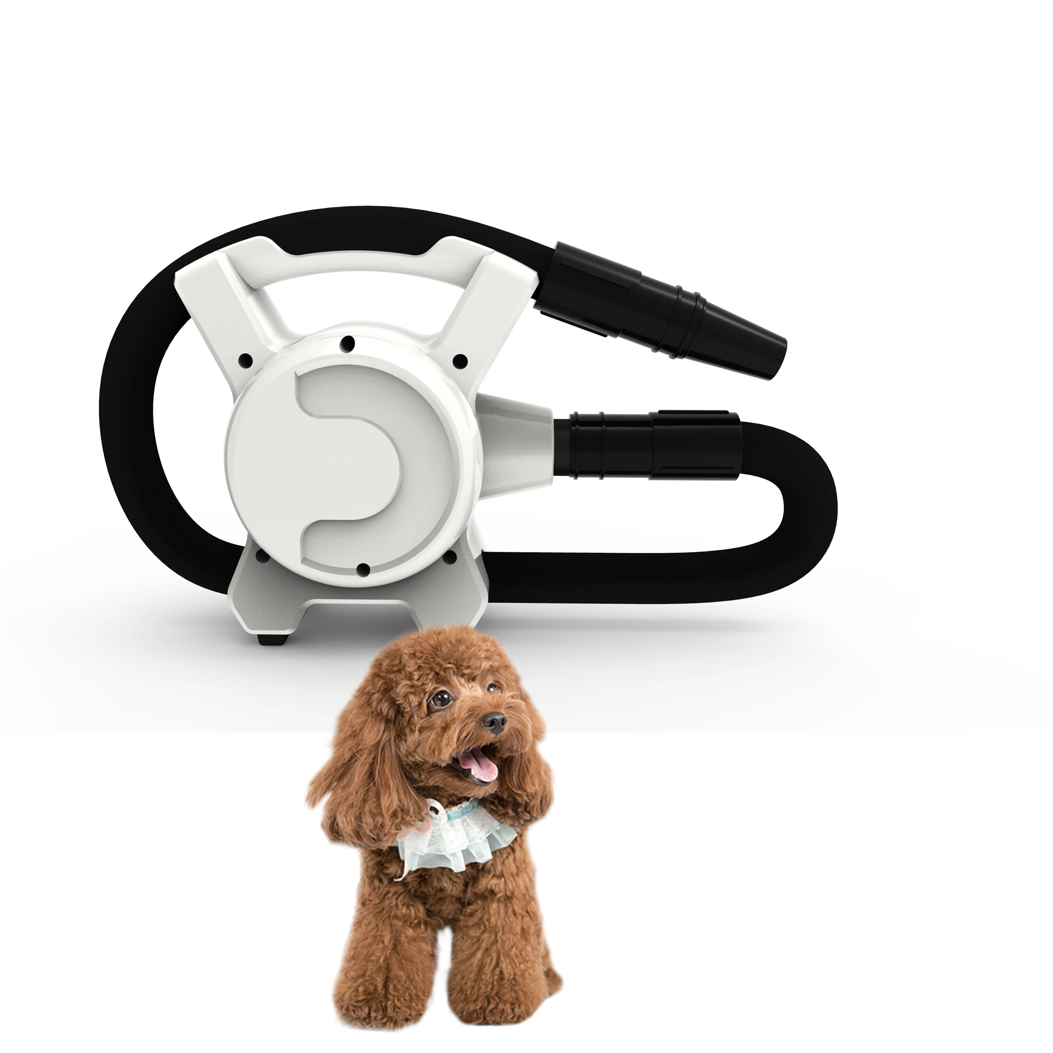 Частная марка, мотор переменного тока, парикмахерские Профессиональные Товары для домашних животных, 2 скорости, двойное напряжение, мини-размер, тихий, оптовая продажа, салонный Фен