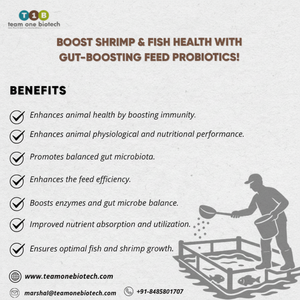 Conversion des nutriments Gut Health Feed Supplément probiotique pour l'aquaculture - Product Image 1