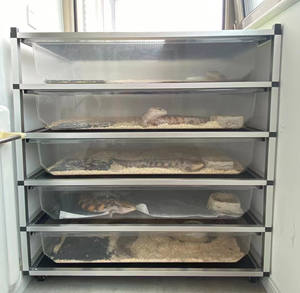 Reptiles <span class=keywords><strong>Cage</strong></span> Accessoires Serpent Rack Système En Plastique PVC Boîte D'élevage Baignoires Serpent Rack Cages avec Chauffage - Product Image 5